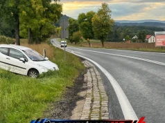 Kierująca straciła panowanie nad samochodem. Peugeot wypadł z drogi w Mysłowie
