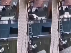 Nauczycielka przejechała Laurę na placu przed szkołą. Zapadł wyrok w tragicznej sprawie