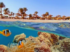 Rafa koralowa i pełen relaks 🐠😍 Tydzień w Egipcie za 1539 PLN 😎 Loty i 4🌟 hotel z all inclusive😱