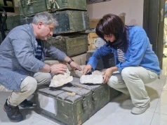 Poskładać Palmyrę. Polscy archeolodzy tworzą cyfrową bazę zniszczonych rzeźb