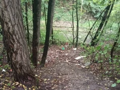 Dzikie wysypisko posprzątane. Sprawca sam się zgłosił po naszej interwencji