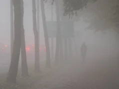 Gęsta mgła nad Nowym Sączem i Sądecczyzną. Widoczność może spaść poniżej 200 metrów