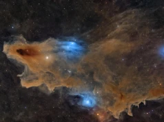 „Cichy drapieżnik” najlepszym zdjęciem konkursu Astronomy Photographer of the Year 2026. W jednej z kategorii jest też zwycięzca z Polski!