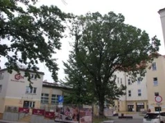 Festiwal klocków Brickowisko w Generatorze Nauki GEN w Jaśle. Dwudniowe bezpłatne warsztaty i pokazy nie tylko dla dzieci