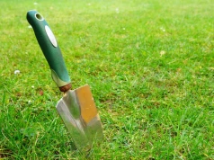 Jesienią nie zostawiam trawnika samemu sobie. Te 4 rzeczy robię przed pierwszymi mrozami