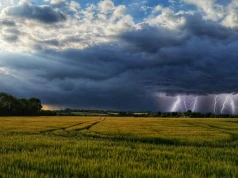 Mgły, deszcz i burze, potem więcej słońca. Pogoda na weekend będzie zmienna