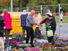Coś zielonego w zamian za śmieci. Zbliża się akcja Ekologia za sadzonkę