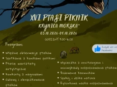 XVI Ptasi Piknik w Krynicy Morskiej