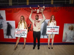 PETA znów przejęła wybieg. Pokaz H&M przerywano aż trzy razy