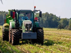 Ceny skupu spadają, a dochód z hektara rośnie. GUS podał nową kwotę