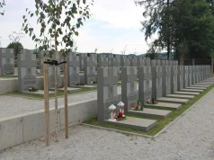 Obchody w Kamesznicy