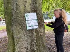 W Europie trwa dzisiaj TreeTag. Czyli wyróżnianie wyjątkowych drzew. Bydgoszcz musiała dołączyć