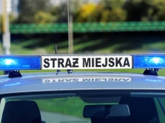 Straż miejska dostała szersze uprawnienia. Mandat może sięgnąć nawet 3000 zł