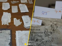 Kurzyły się na strychu plebanii. Najstarszy z nich ma ponad 400 lat