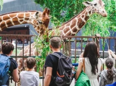 Ponad 850 tysięcy odwiedzin we wrocławskim zoo. Ogród podsumował sezon letni