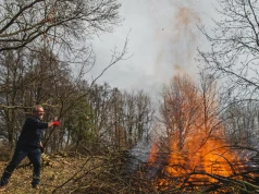 Palisz gałęzie na swojej działce? Możesz zapłacić za to nawet 5 tys. zł