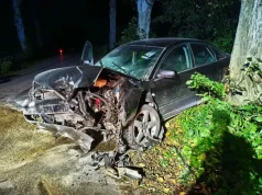 Nocny manewr zakończony na drzewie. Kierowca Audi chciał uniknąć zderzenia z sarną