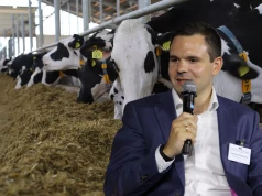 Stracili 49% gospodarstw mlecznych – mimo to produkują więcej mleka