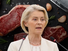 Unia rzuciła rolników na pożarcie? Cała prawda o umowie z Mercosur i brazylijskim mięsie