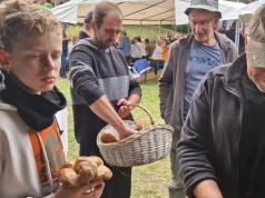 Mały prawdziwek, wielkie emocje! Pobili grzybowy rekord