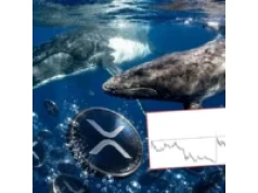 1,6 mld XRP trafiło na Binance. Wieloryby szykują ruch na 2 USD?