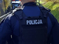 Truchło psa na osiedlu. Ktoś go wyrzucił z czwartego piętra?