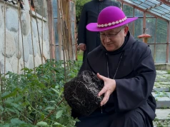 Pomidory biskupa za 1000 zł. Aukcja wspiera chorego chłopca