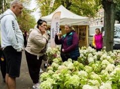 Kolorowo, pachnąco i smacznie na Wałach Chrobrego