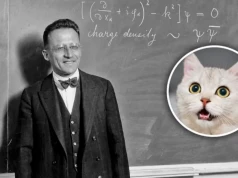 Słynny kot przysłonił mroczną stronę noblisty. Schrödinger wykładał we Wrocławiu