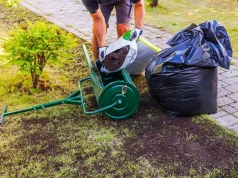 Garść po garści rozsypuję po trawniku. Ten jesienny trik procentuje wiosną