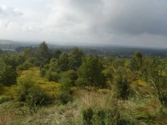 Grodzisko w Libiążu
