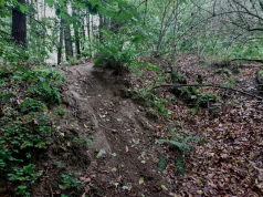 Skakał rowerem na leśnym torze bez kasku. 15-latek trafił do szpitala śmigłowcem