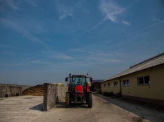 Zaliczka z ARiMR jest niższa niż rolnik się spodziewał? Tak liczona jest wypłata w 2026 r.