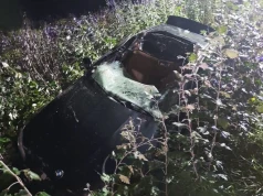 Łoś na DK92. Trzy osoby poszkodowane po zderzeniu samochodu ze zwierzęciem