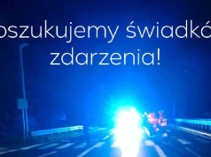 Policja pilnie szuka świadków tragedii na DK25. W Teodorowie zginął pieszy