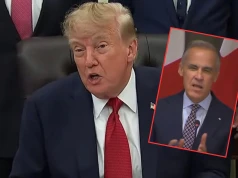 Trump mu TEGO nie wybaczy, premier Kanady sparodiował go na oczach całego świata. „Wystarczy”