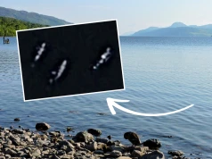Jedno zbliżenie wystarczyło. W wodach Loch Ness zauważyła trzy stworzenia