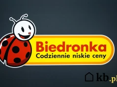 Kultowa kawa z Biedronki znika z półek: 27,99 zł za 500 g! Klienci szybko wykupują!