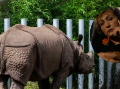 Polskie zoo przestało się patyczkować. Powstał specjalny telefon alarmowy
