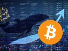 Wieloryb przenosi setki BTC po 14 latach uśpienia. Dlaczego właśnie teraz?