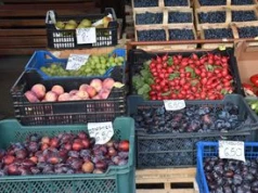 Droższa ropa, droższa żywność. Eksperci wskazują, kiedy odczujemy skutki