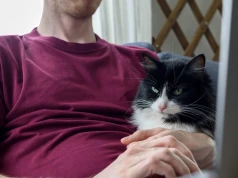Koty przejęły amerykański rynek. Gen Z i "cat dads" weszli do gry