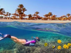 Słoneczny grudzień nad Morzem Czerwonym ☀️🏖️ All inclusive w 4* hotelu w Marsa Alam za 2258 PLN 🐠🤿