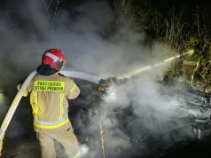 Wieczorny pożar na Węglinie. Altanka na terenie ogródków działkowych spłonęła doszczętnie