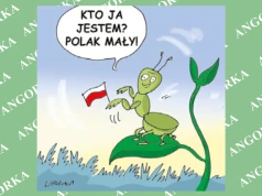 Modliszka podbija Polskę. Coraz łatwiej spotkać ją także nad Bałtykiem