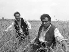 Dziś w telewizji ponadczasowa polska komedia. Przyciąga pokolenia widzów