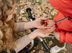 Dzieci znoszą je do domu całymi workami. Okazuje się, że kasztany są sporo warte