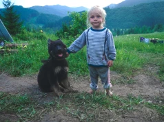 Pies w domu to zdrowsze dzieci? Naukowcy znaleźli dowody!