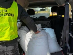 Celnicy przejęli ponad 200 tys. papierosów w Koninie, Jarocinie i Golinie