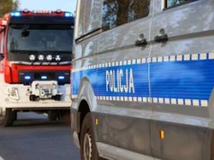 Wypadek na S7 w Głuchowie w gminie Grójec. Samochód osobowy uderzył w łosia. Jedna osoba została ranna. Zwierzę nie przeżyło.